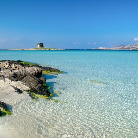 parco-dell-asinara