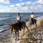 oristano-horse-country-resort.4